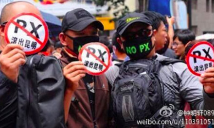 Milieu protest in Maoming