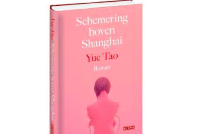 Schemering boven Shanghai