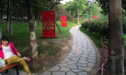 Een heerlijke geschiedenis met geniale communisten en Hollandse zeehelden