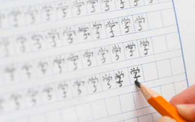 De Chinese Lerares: Docent terug in de schoolbanken