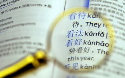 Chinees in het voortgezet onderwijs: de stand van zaken