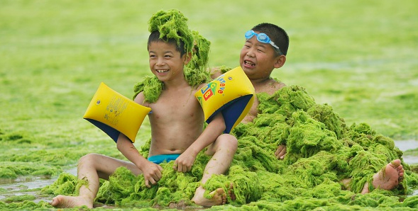 De ‘Groene Soep’ van de Yangtze