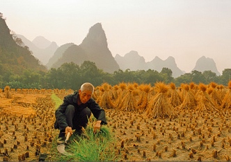 Voedselzekerheid in China